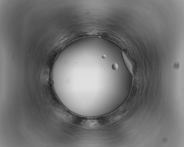 X0000096390554200802071540