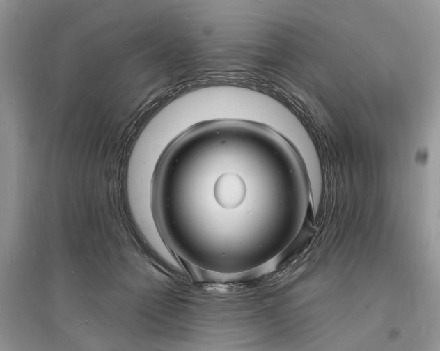 X0000096390558200802071540