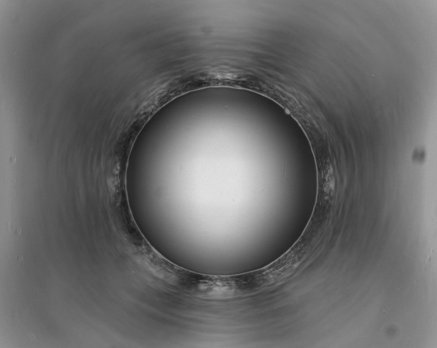 X0000096390559200802071540