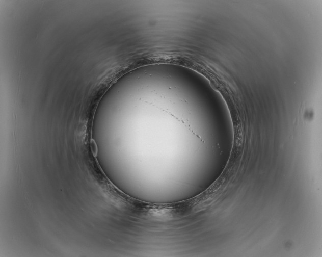 X0000096390560200802071540