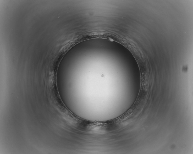 X0000096390563200802071540