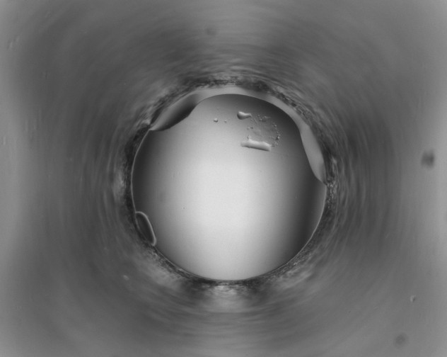 X0000096390566200802071540
