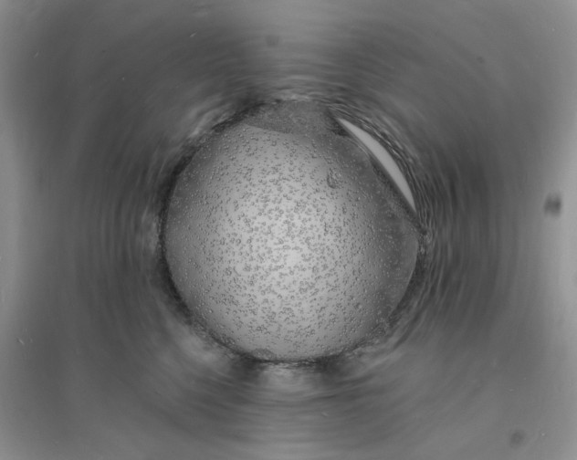 X0000096390568200802071540