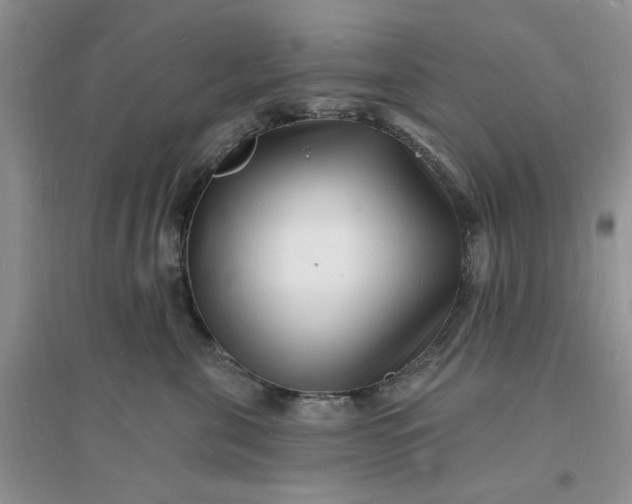 X0000096390571200802071540