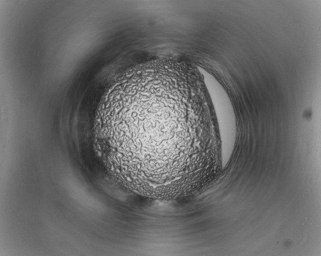 X0000096390573200802071540