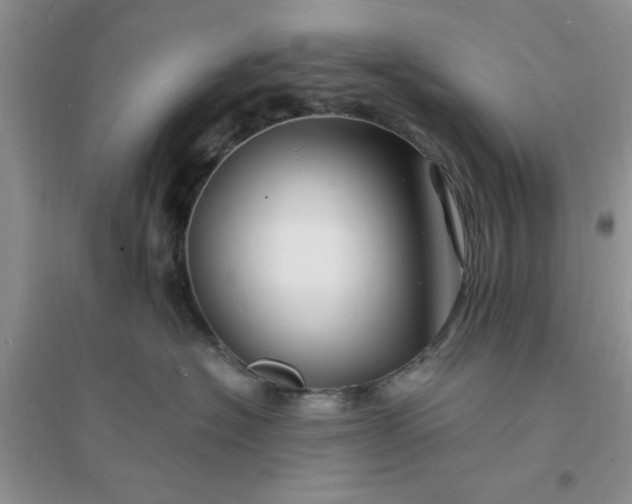 X0000096390574200802071540