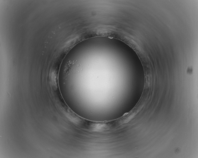 X0000096390575200802071540