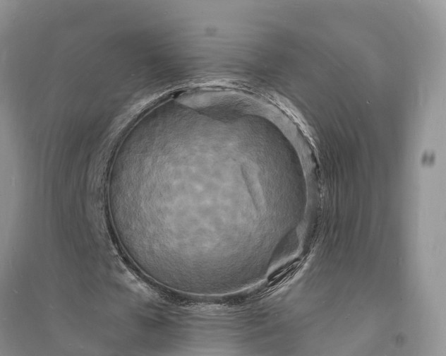 X0000096390577200802071539