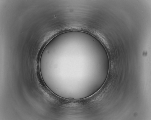 X0000096390578200802071539