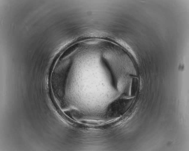 X0000096390581200802071539