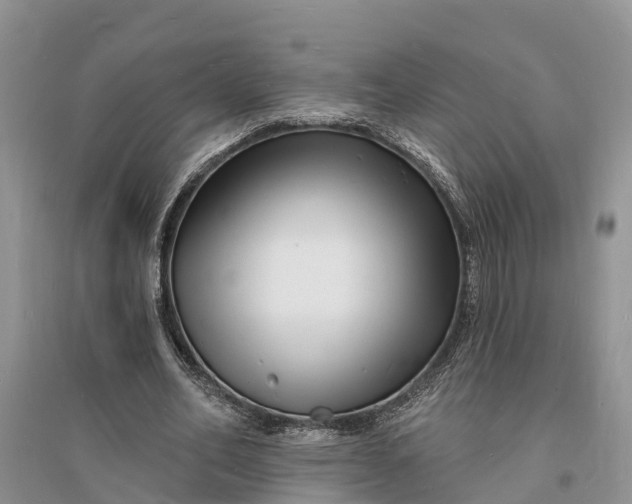 X0000096390582200802071539