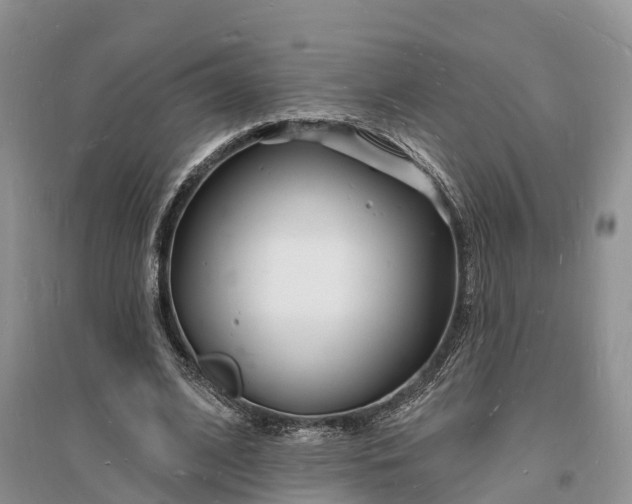 X0000096390584200802071539