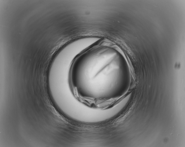 X0000096390585200802071539