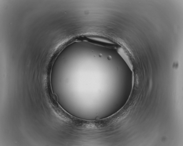 X0000096390588200802071539
