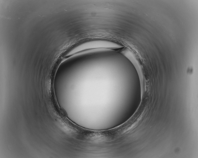 X0000096390589200802071539