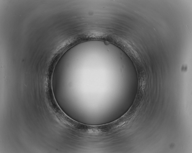 X0000096390591200802071539