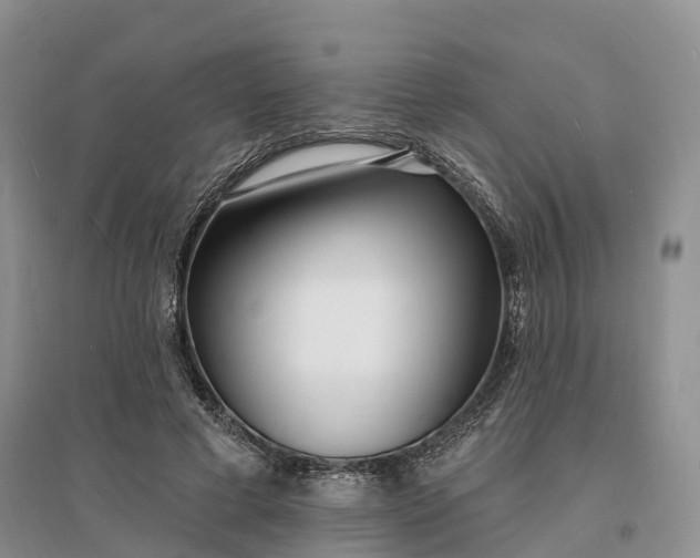 X0000096390593200802071539
