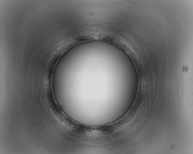 X0000096390594200802071539