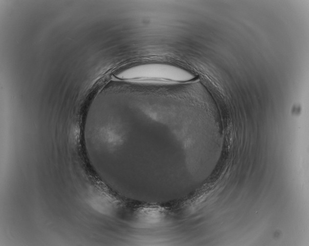 X0000096390595200802071539