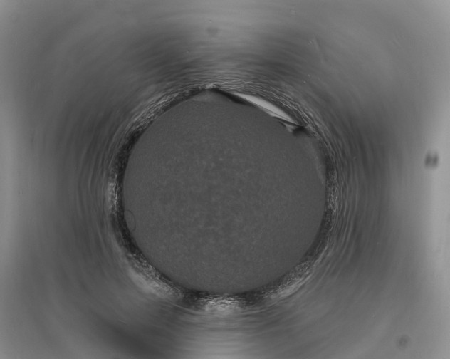 X0000096390599200802071539