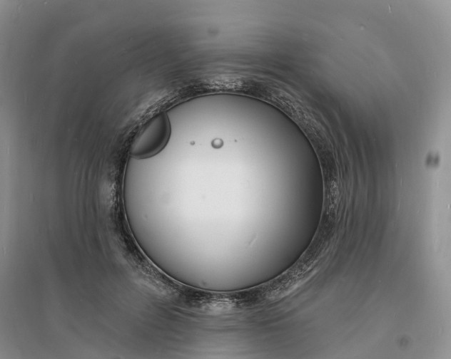 X0000096390600200802071539