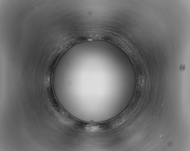 X0000096390602200802071539