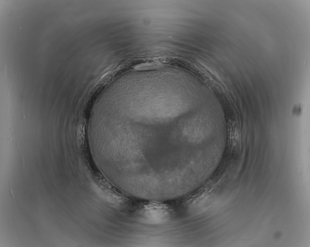X0000096390603200802071539
