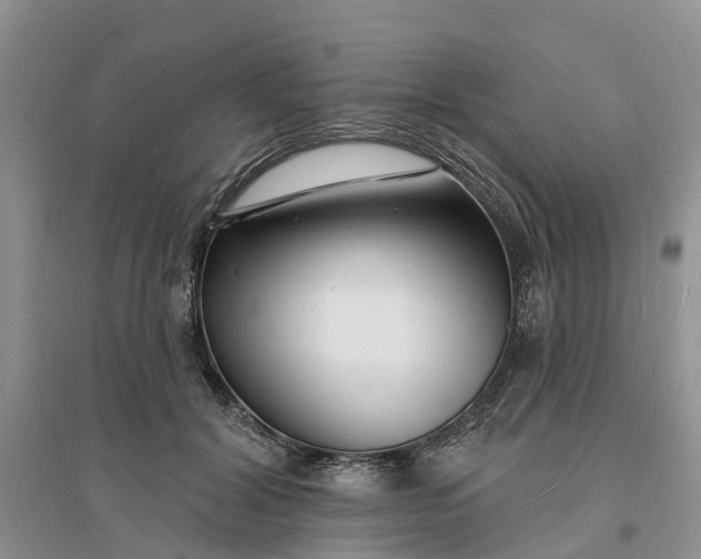 X0000096390604200802071539