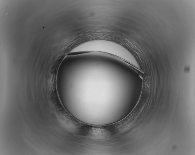 X0000096390605200802071539