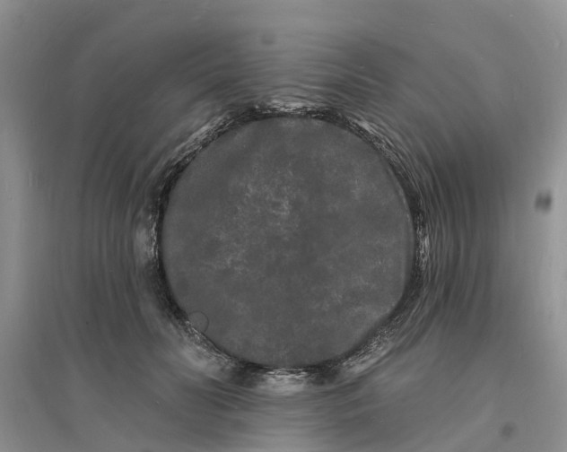 X0000096390606200802071539