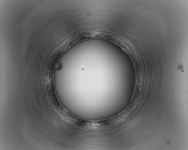 X0000096390607200802071539