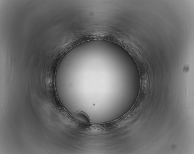 X0000096390608200802071539