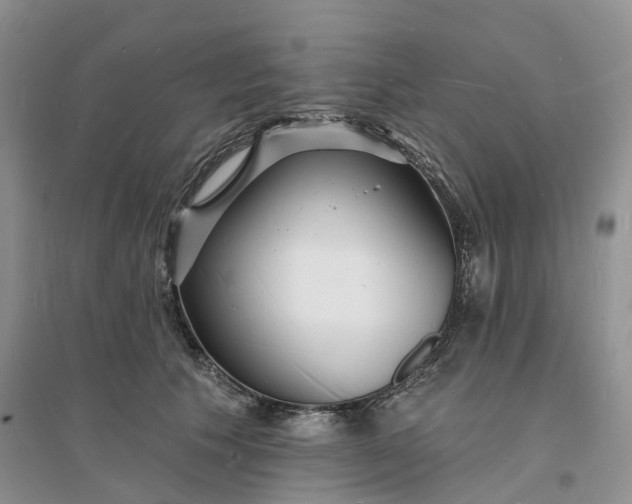 X0000096390609200802071539