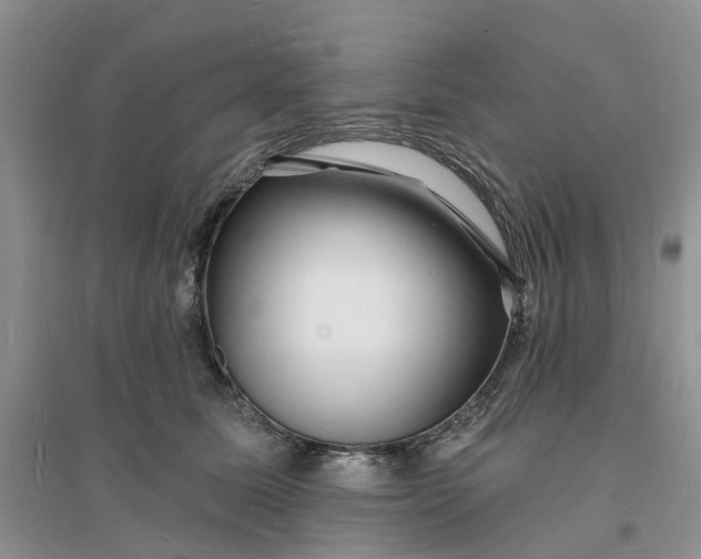 X0000096390611200802071539