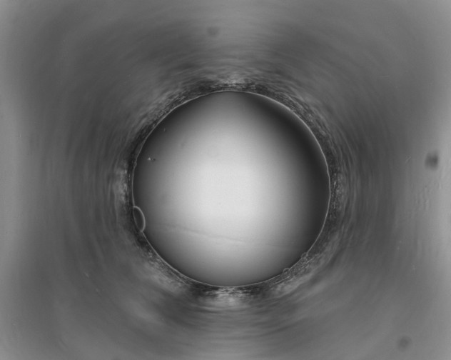 X0000096390612200802071539