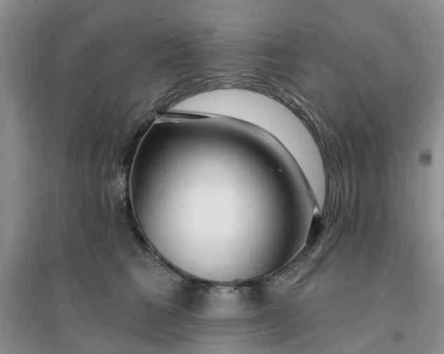 X0000096390613200802071539