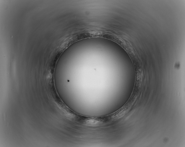X0000096390614200802071539