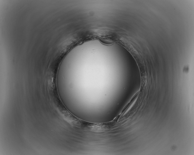 X0000096390615200802071539