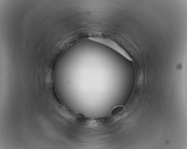 X0000096390616200802071539