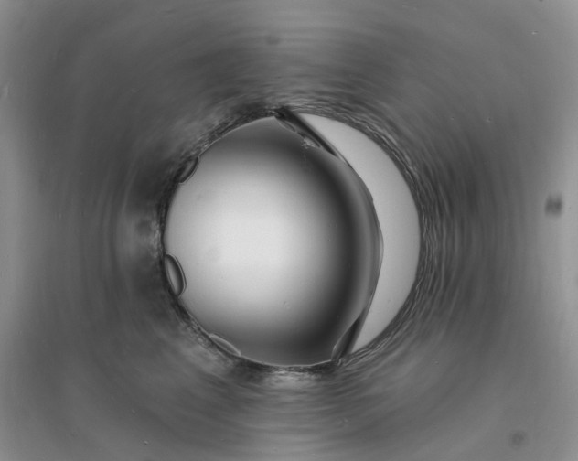X0000096390617200802071539