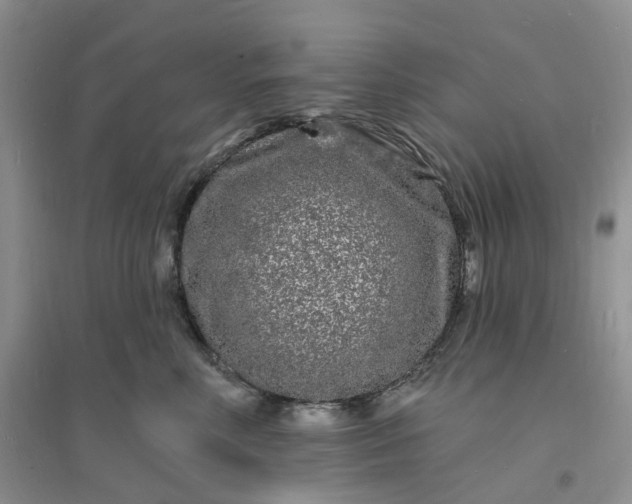 X0000096390618200802071539