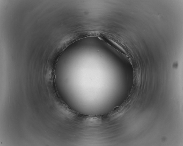 X0000096390619200802071539