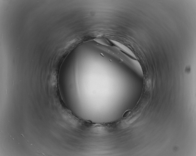 X0000096390620200802071539