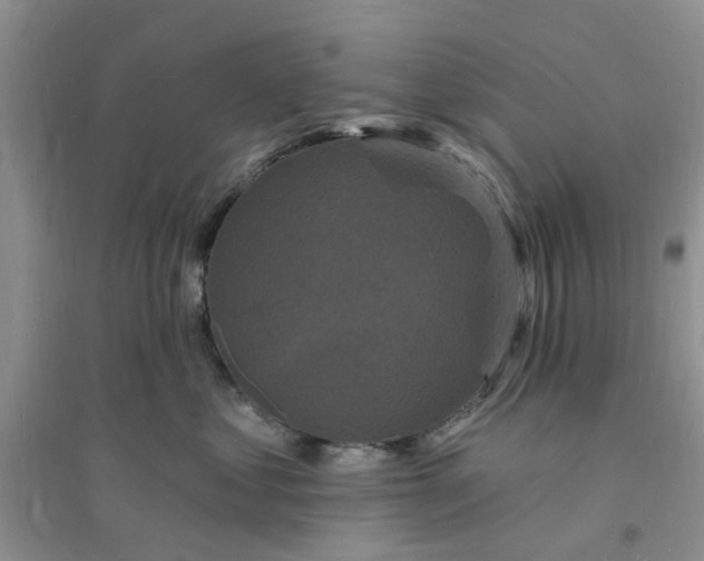 X0000096390621200802071538