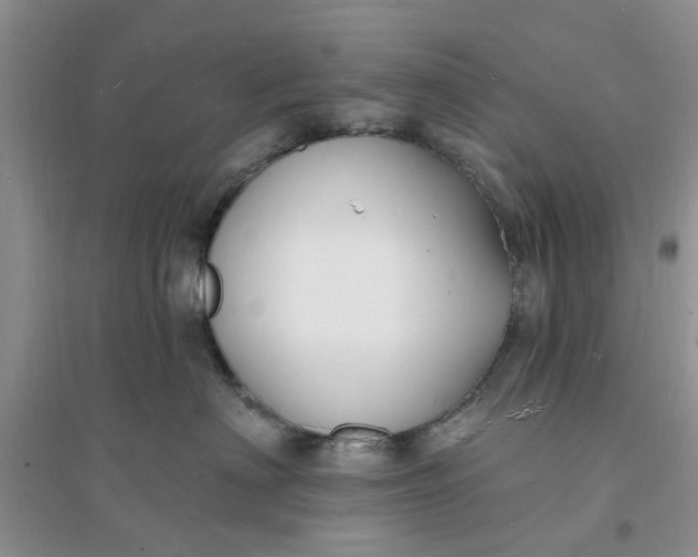 X0000096390622200802071538