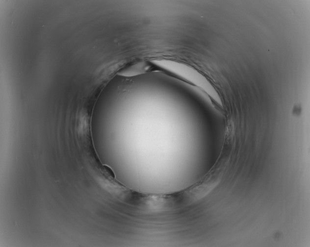X0000096390623200802071538