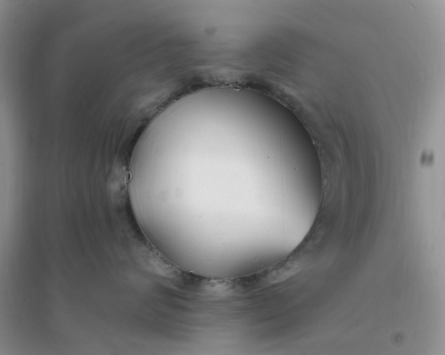 X0000096390624200802071538