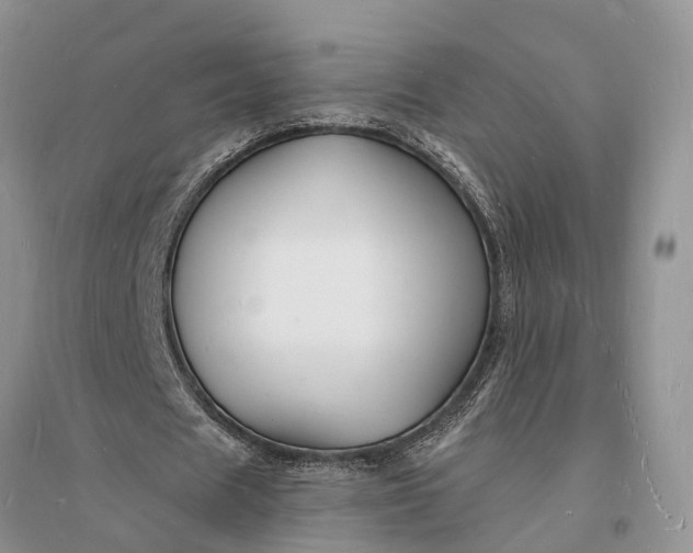 X0000096390625200802071538