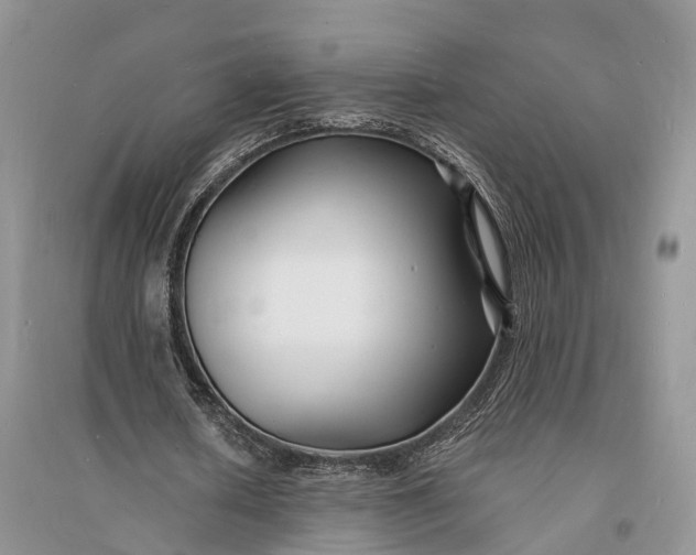 X0000096390626200802071538