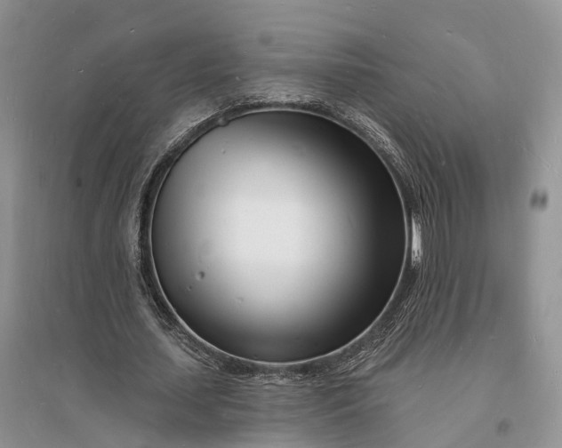 X0000096390627200802071538